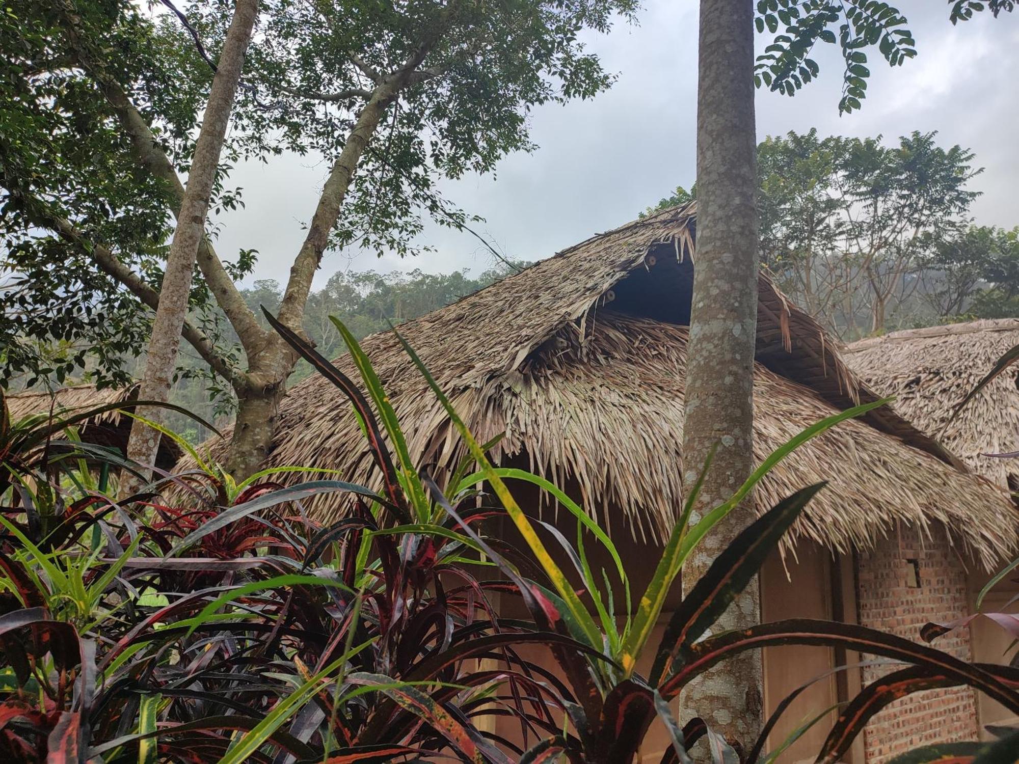Pu Luong Homestay & Tours Huong Ba Thuoc Ngoại thất bức ảnh